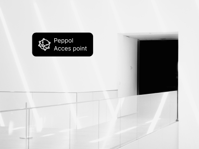 Access Point PEPPOL Belgio FE