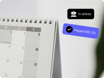 Sistema di e-Reporting in Francia