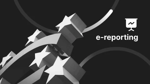 e-reporting-fiscale-guida-completa-alla-rendicontazione-digitale-IVA-in-Europa